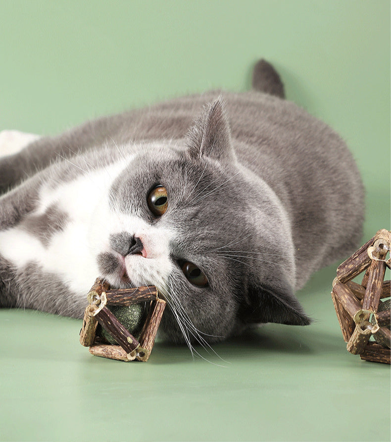 Sandsberg | Polygonum Katzenminze Grasball