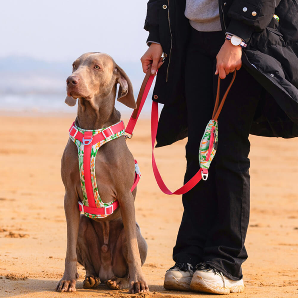 Sichere Anti-Zieh-Große Hunde-Geschirr und Leine Spaziergang Set mit Walk Tasche