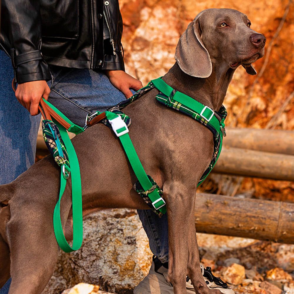 Sichere Anti-Zieh-Große Hunde-Geschirr und Leine Spaziergang Set mit Walk Tasche