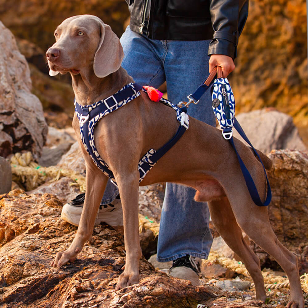 Sichere Anti-Zieh-Große Hunde-Geschirr und Leine Spaziergang Set mit Walk Tasche