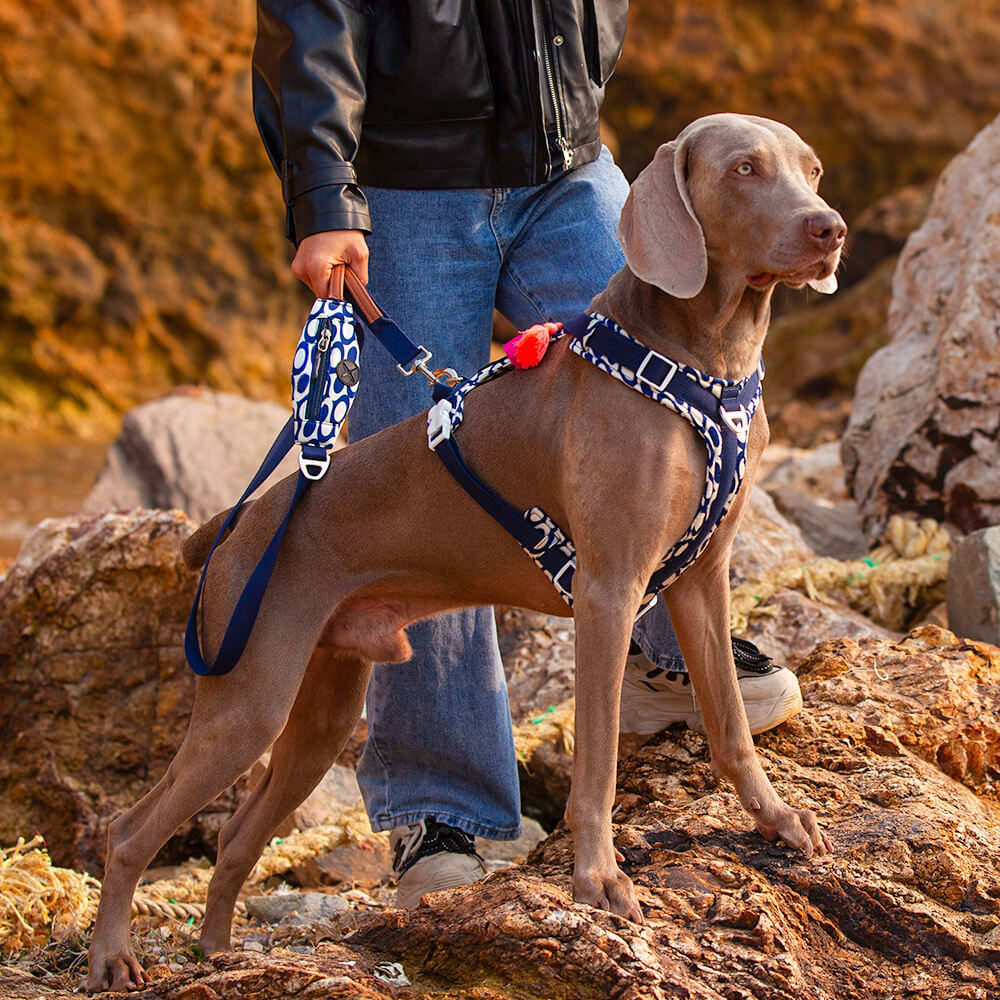 Sichere Anti-Zieh-Große Hunde-Geschirr und Leine Spaziergang Set mit Walk Tasche
