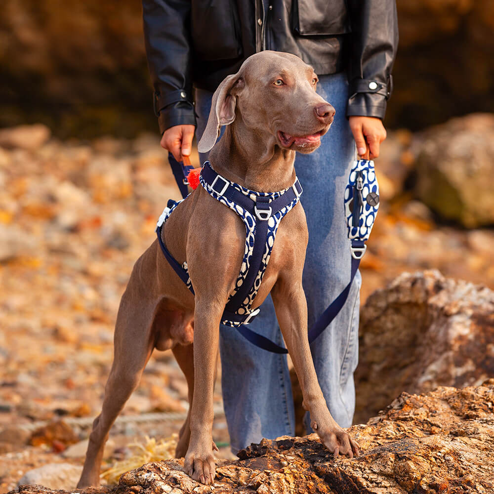 Sichere Anti-Zieh-Große Hunde-Geschirr und Leine Spaziergang Set mit Walk Tasche