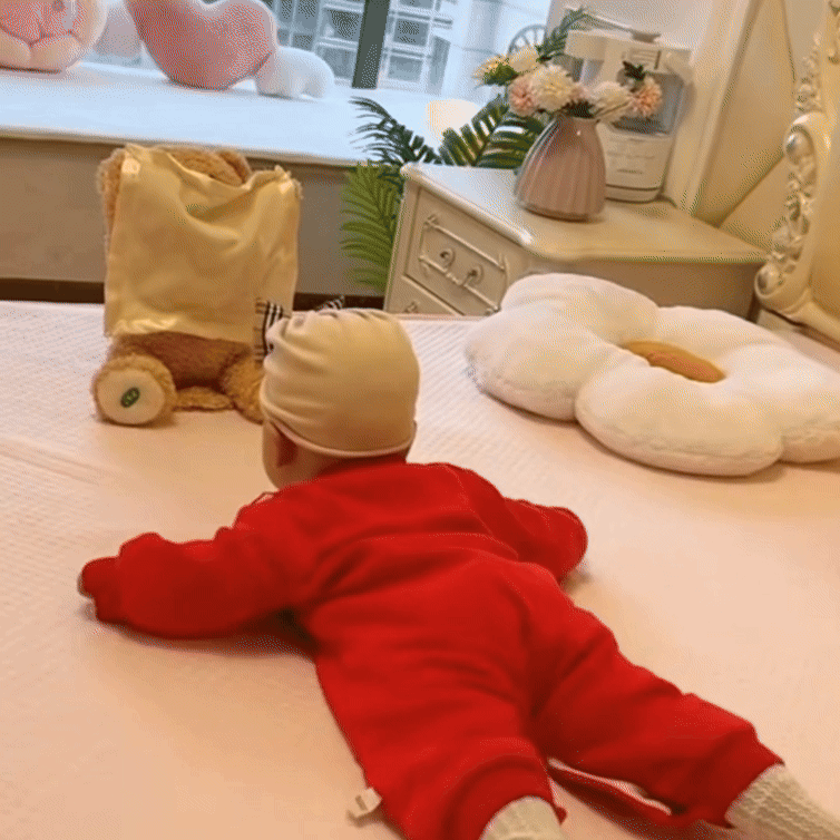 Sandsberg | SnuggleBuddy Peek-a-Boo Bär | Interaktives sprechendes Plüschtier für Babys & Kleinkinder