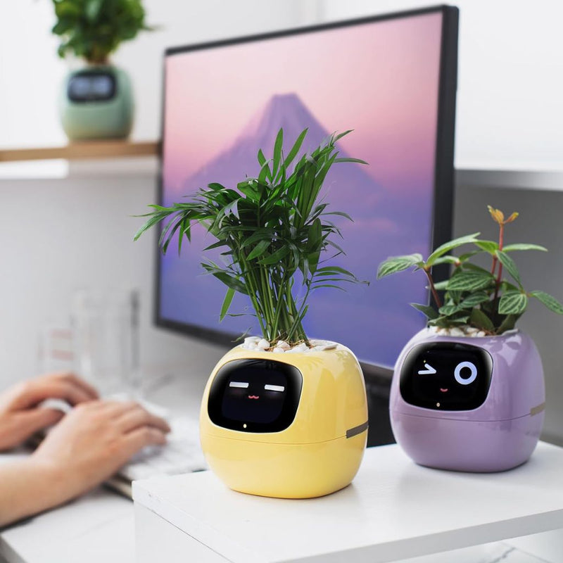 Sandsberg Ivy Smart Planter
