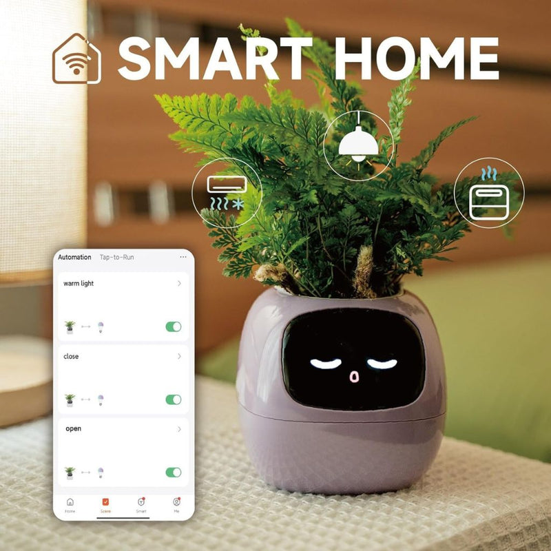 Sandsberg Ivy Smart Planter