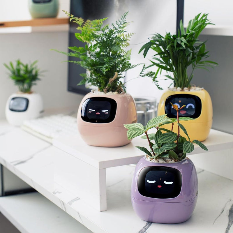 Sandsberg Ivy Smart Planter