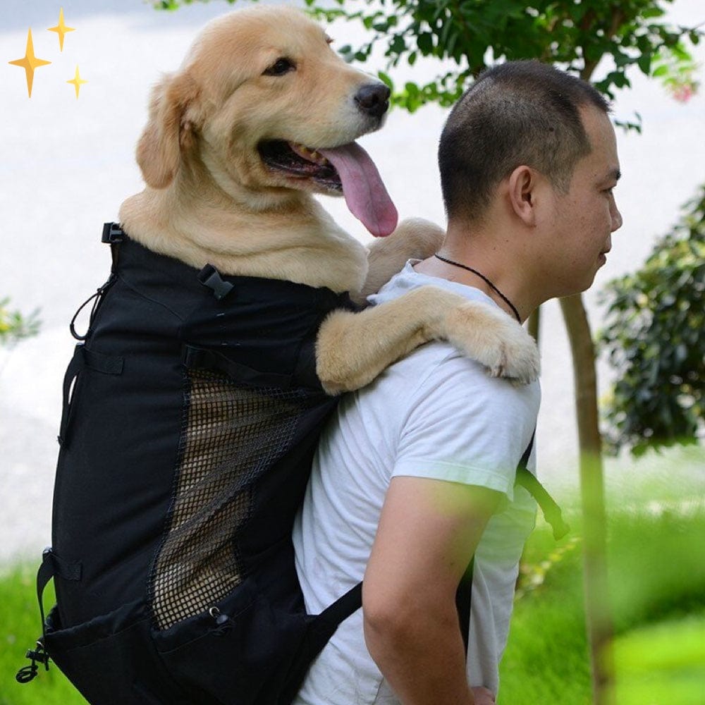 Sandsberg Hunderucksack mit Pfoten Fächern zum bequemen Reisen mit Ihrem Hund