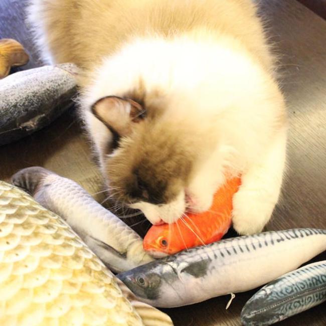 Nichts Verdächtiges an diesem Katzenspielzeug