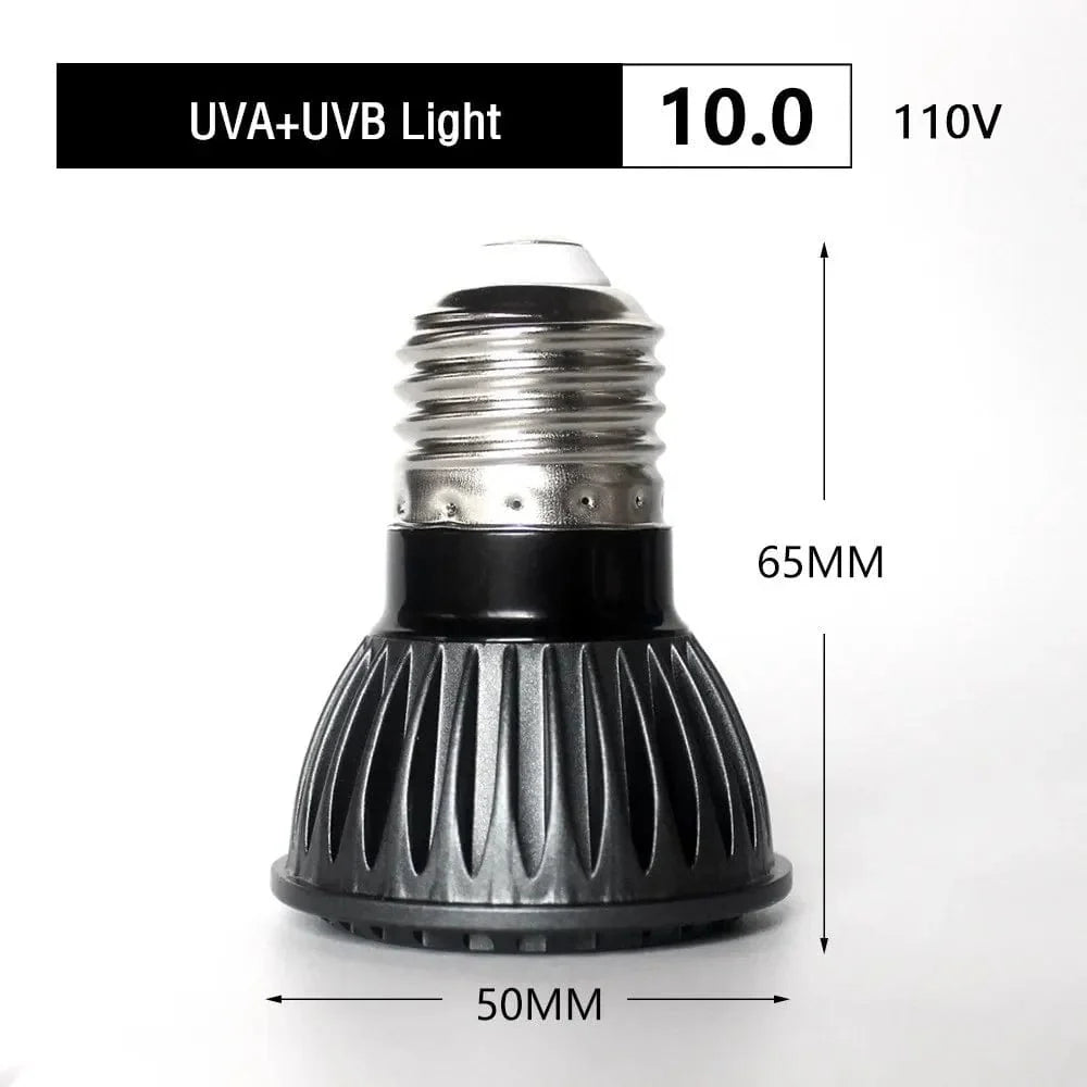 UVA + UVB LED Reptilienlicht Schildkröte Badeplattform Vollspektrum Sonnenlampe Sonnenbaden Wärmelampe für Eidechsen Reptilien und Amphibien