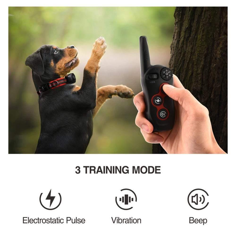 2 In 1 Hunde Trainingshalsband & Anti-Bell-Halsband 400M Wiederaufladbares Hunde Elektrisches Halsband Wasserdicht Fernbedienung Hund Haustier Produkt