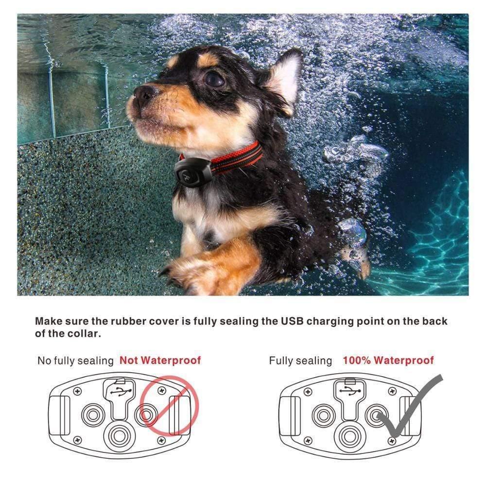 2 In 1 Hunde Trainingshalsband & Anti-Bell-Halsband 400M Wiederaufladbares Hunde Elektrisches Halsband Wasserdicht Fernbedienung Hund Haustier Produkt