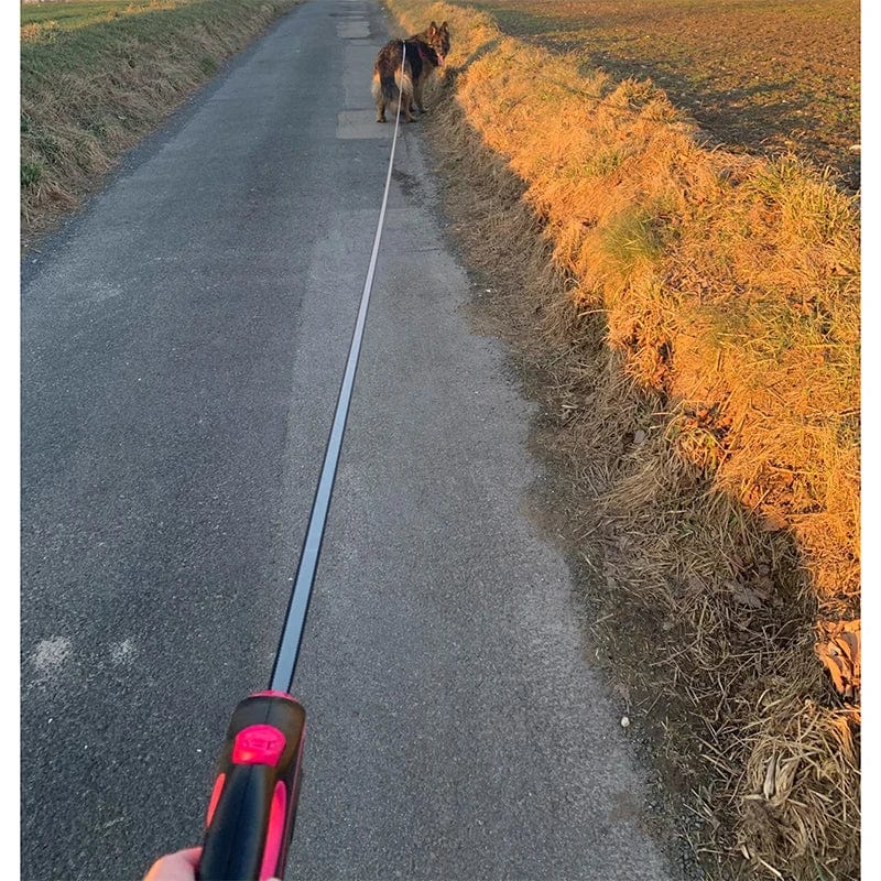 3m 5m 8m 50kg Hundeleine Verlängerung Roulette Halsband für kleine große Hundezubehör verstellbar langlebig Spaziergang Wandern Bulldogge Seil