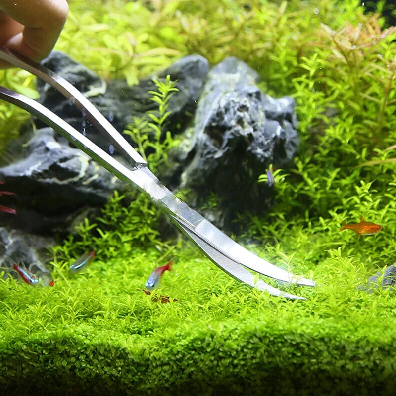 Aquarium Werkzeuge Set Schere Pinzette Pflanzen Wellenzange Gras Edelstahl Reinigungswerkzeuge Fischtank Schaufeln Aquarium Zubehör