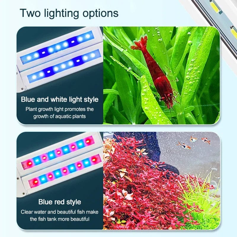 Superhelle Clip Lampe LED Aquarium Licht für Aquarienpflanzen Wuchs Fischtank Vollspektrum Timing Lampe 220-240V 30~70CM 4W 8W 13W