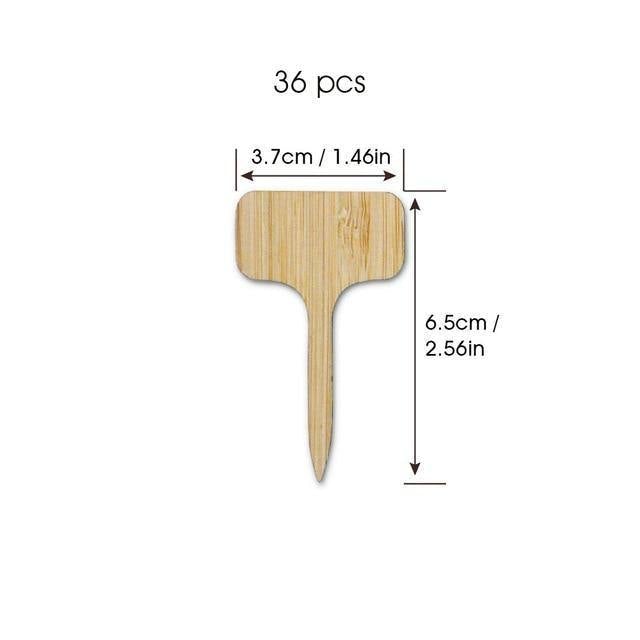 Sandsberg Holz Pflanzenschilder | Umweltfreundlich | Perfekt für Garten & Balkon | Markierungsschilder für Pflanzen