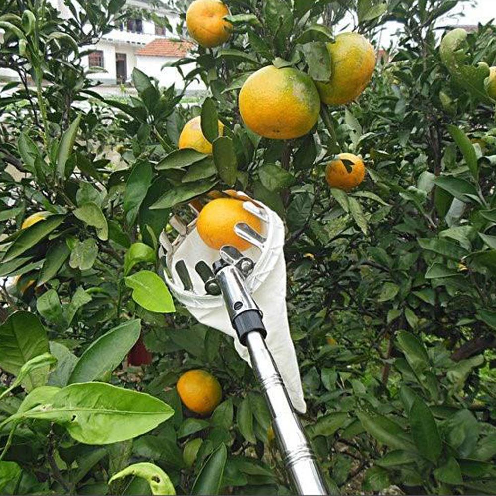 Obstpflückkorb