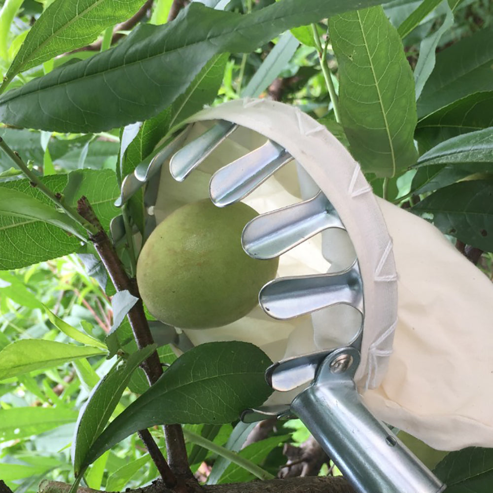 Obstpflückkorb