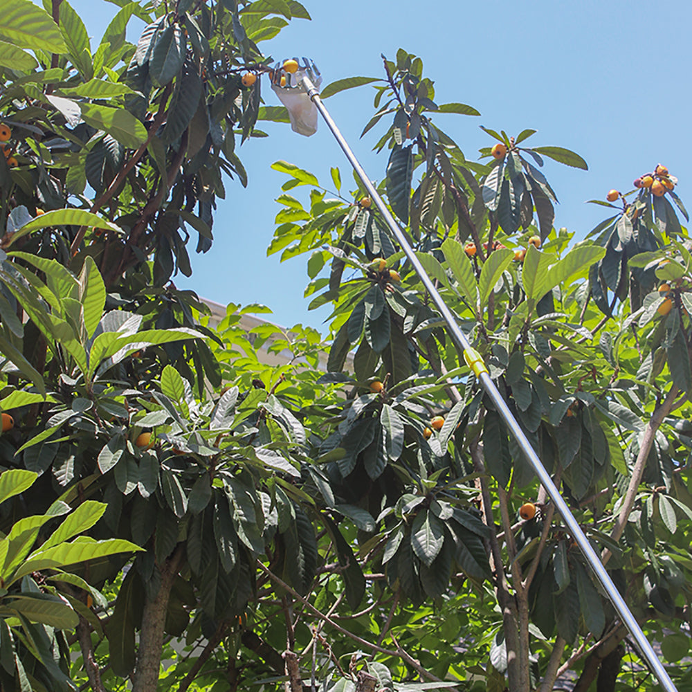 Obstpflückkorb