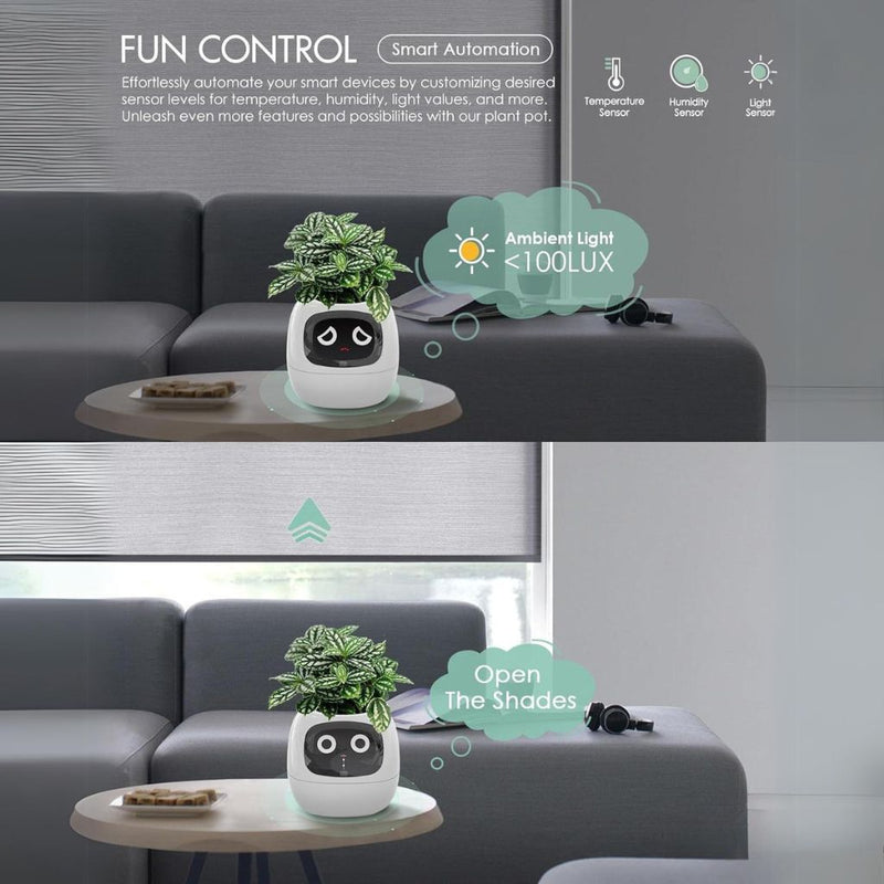 Sandsberg Ivy Smart Planter