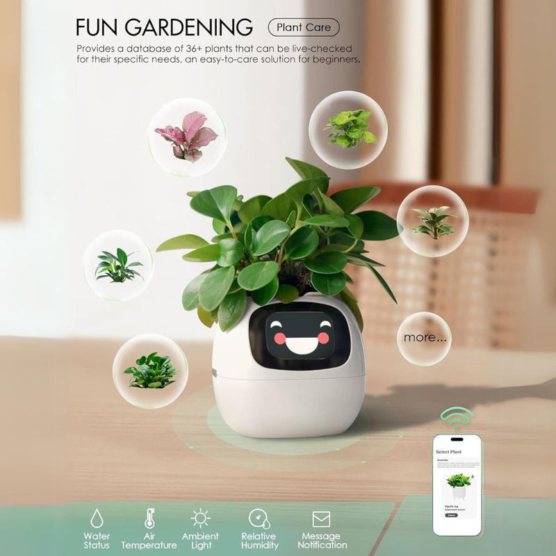 Sandsberg Ivy Smart Planter