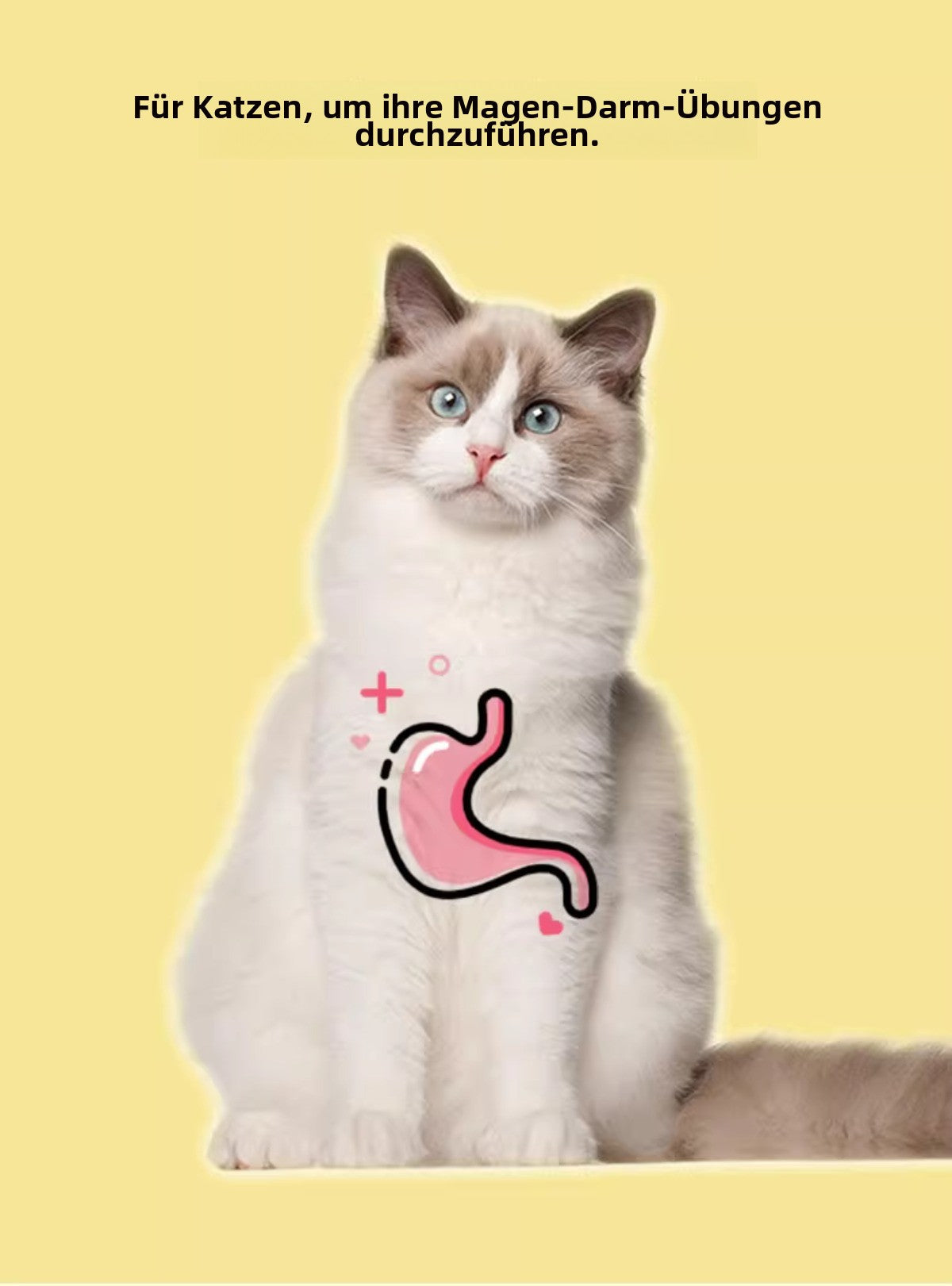 Sandsberg | Weerstand biedende tandenknarsende kattenstick