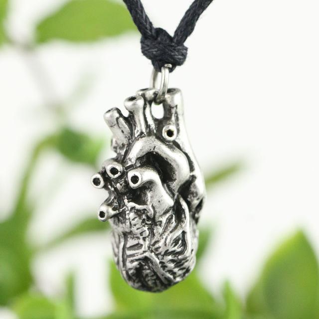 Anatomische Herzkette