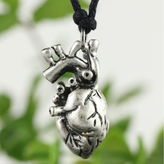Anatomische Herzkette