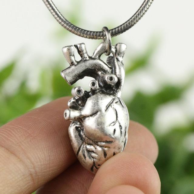 Anatomische Herzkette