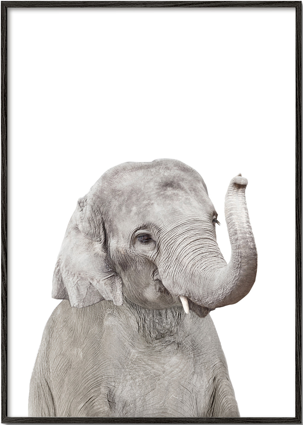 Sandsberg | Baby Elefant
