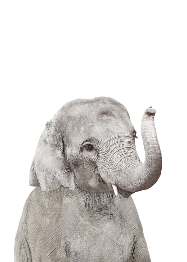 Sandsberg | Baby Elefant