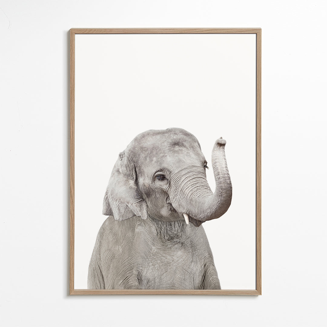 Sandsberg | Baby Elefant