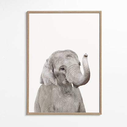 Sandsberg | Baby Elefant