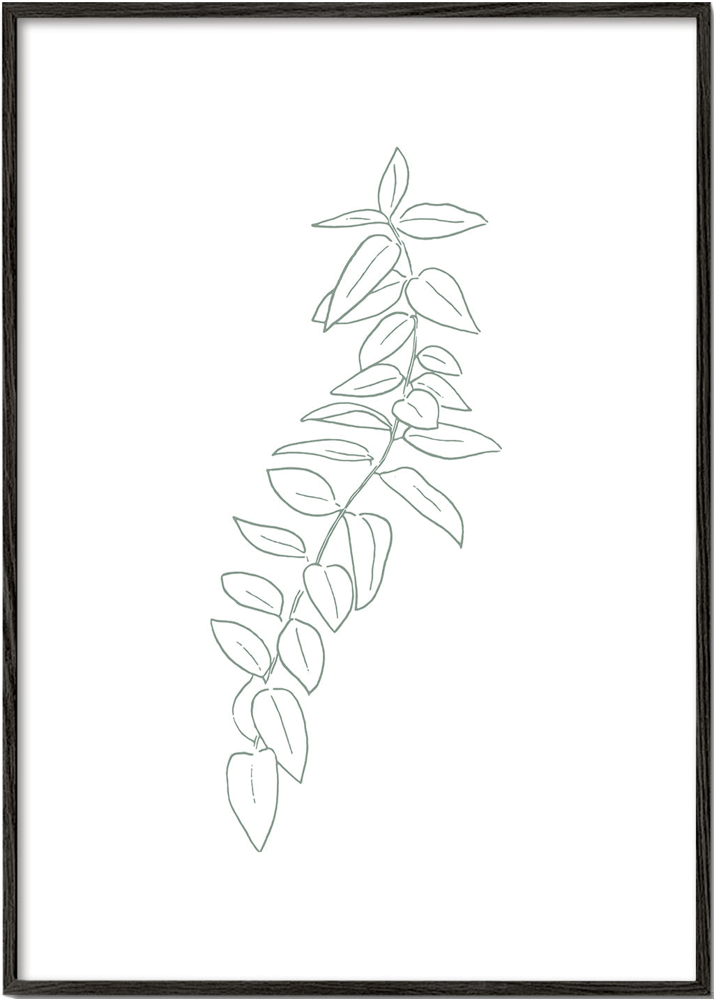 Sandsberg | Botanicals 18
