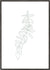 Sandsberg | Botanicals 18