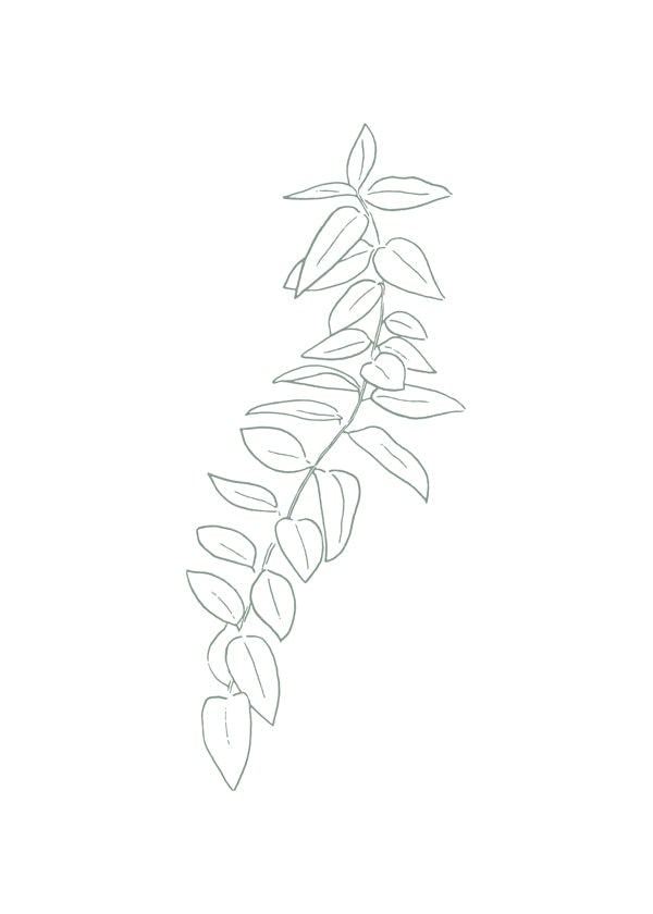 Sandsberg | Botanicals 18
