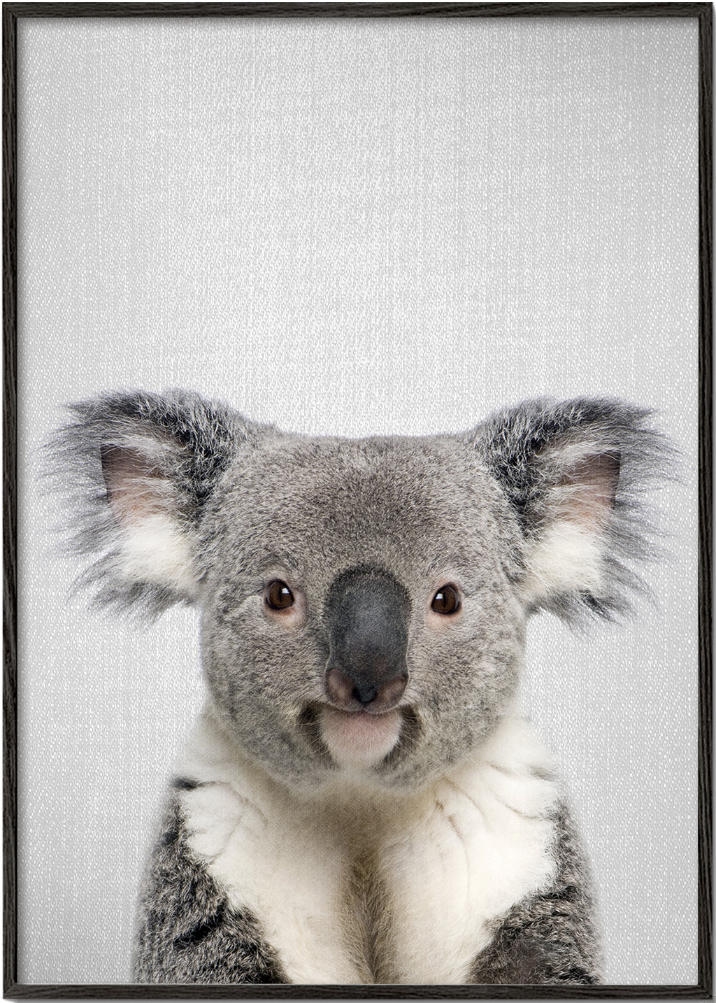 Sandsberg | Koala