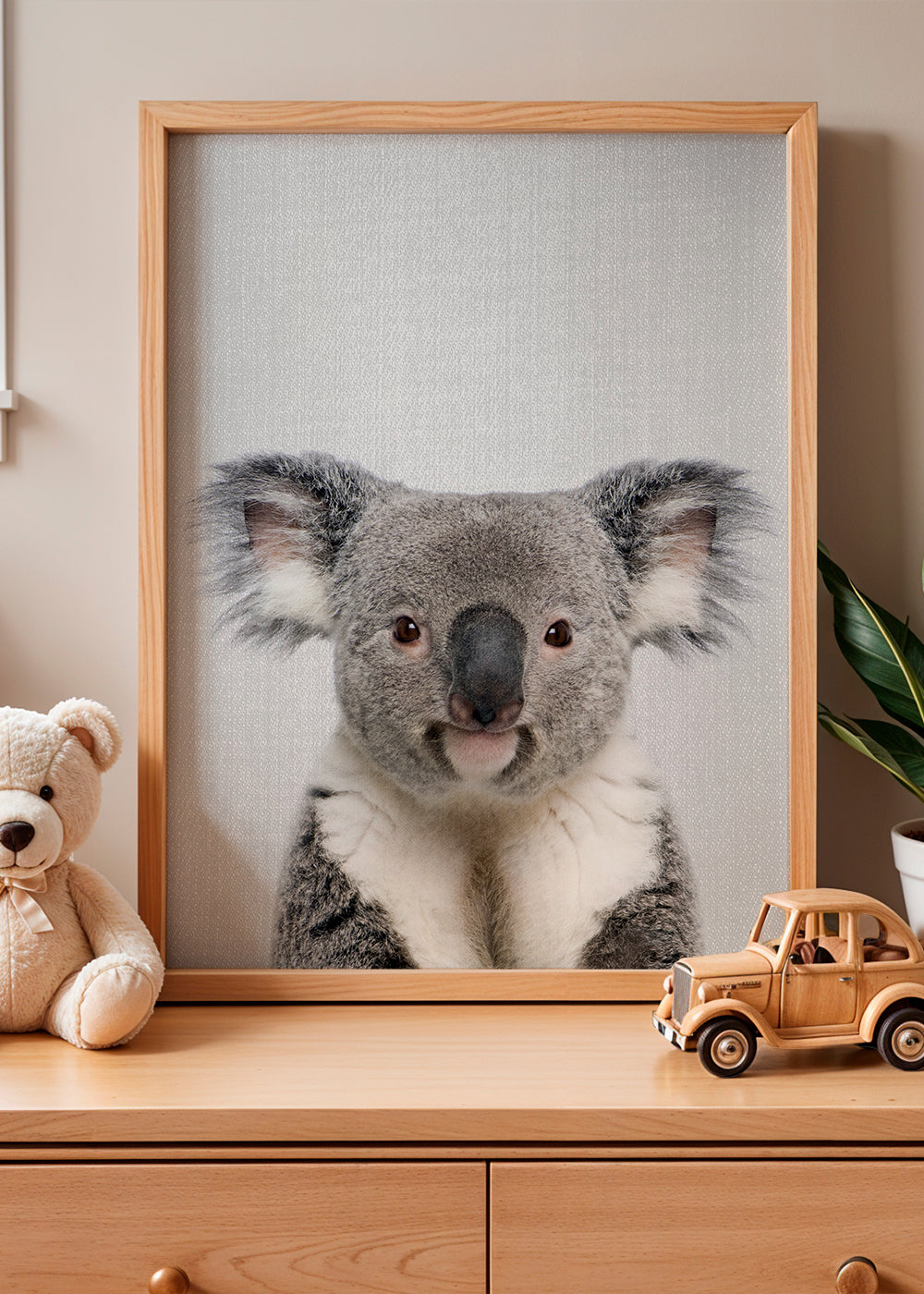 Sandsberg | Koala