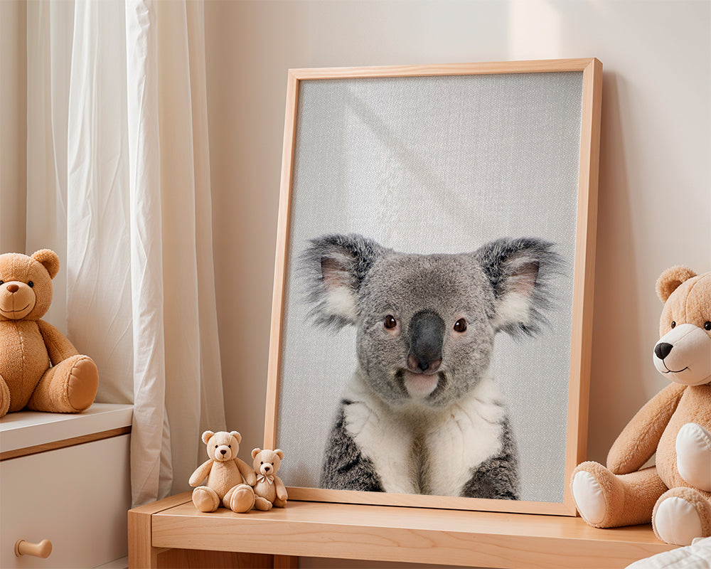Sandsberg | Koala