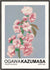 Sandsberg | Cherry Blossom (Sonderausgabe) - Ogawa Kazumasa