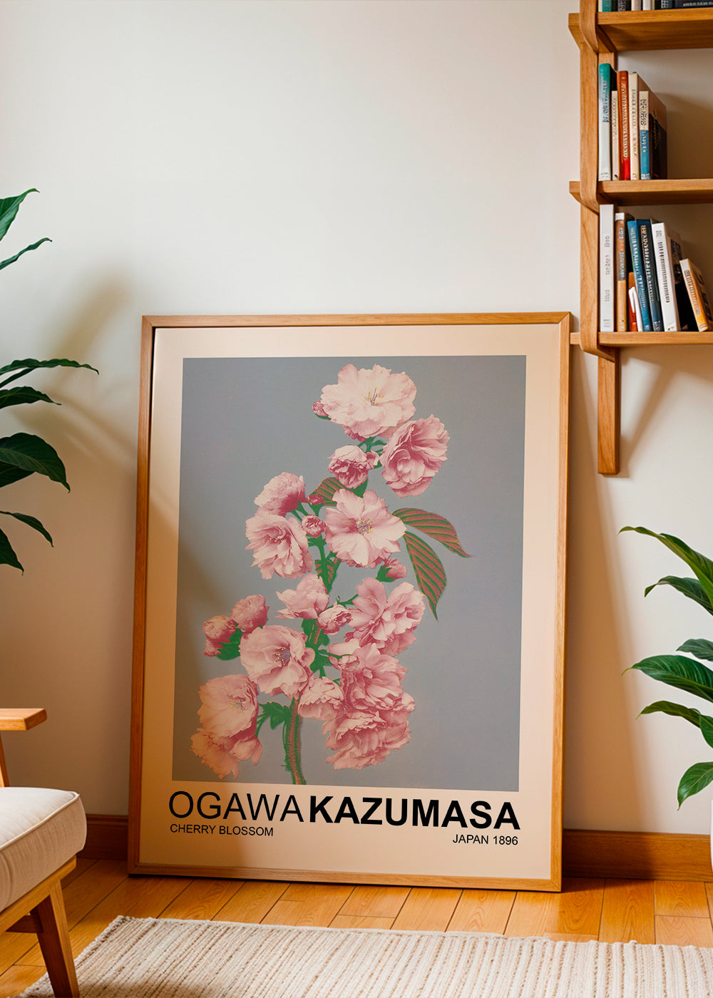 Sandsberg | Cherry Blossom (Sonderausgabe) - Ogawa Kazumasa