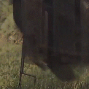 Sandsberg | Leuchtende schreiende Hexenstecken