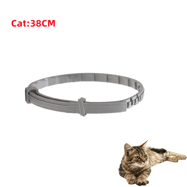 Sandsberg | Anti-Floh Haustierhalsband