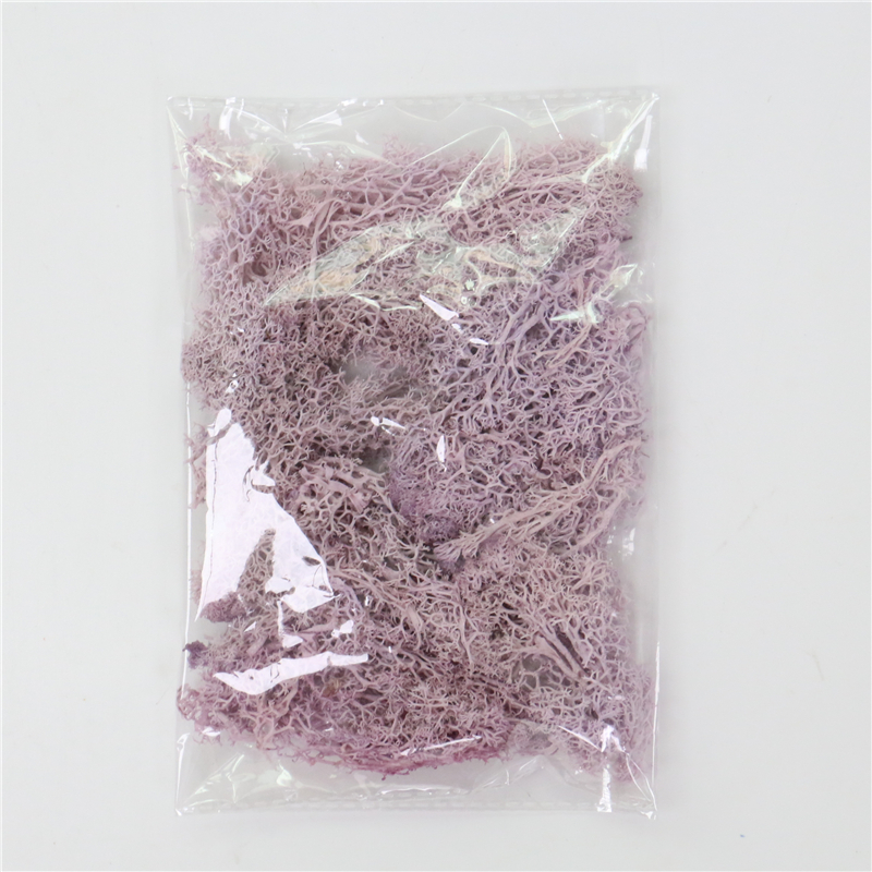 Sandsberg | Künstliches Moos für Landschaftsgestaltung – Moos und Blumen für Dekoration und Floristik