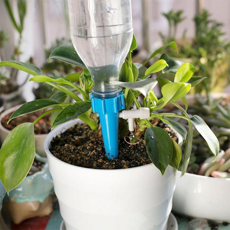 Selbstbewässerung für PET-Flasche