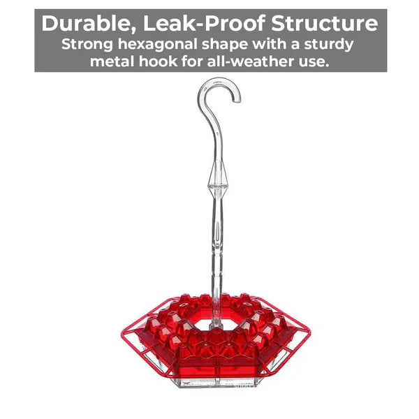 Sandsberg | Ameisenfester Kolibri-Futterspender mit 30 bienenresistenten Öffnungen