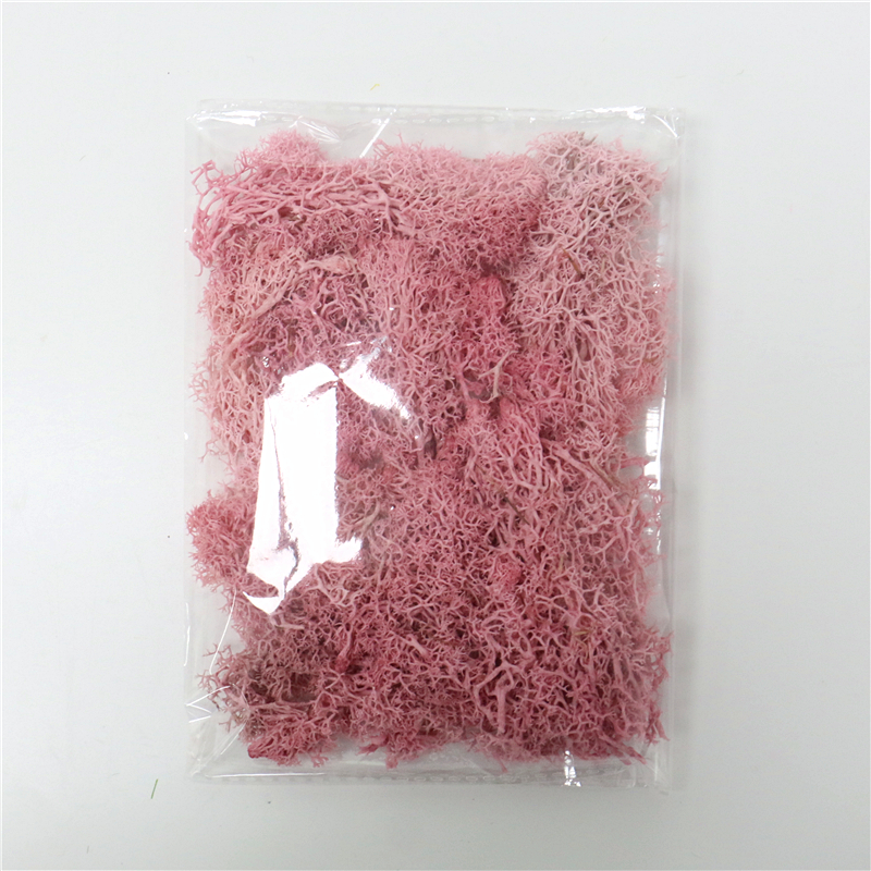 Sandsberg | Künstliches Moos für Landschaftsgestaltung – Moos und Blumen für Dekoration und Floristik