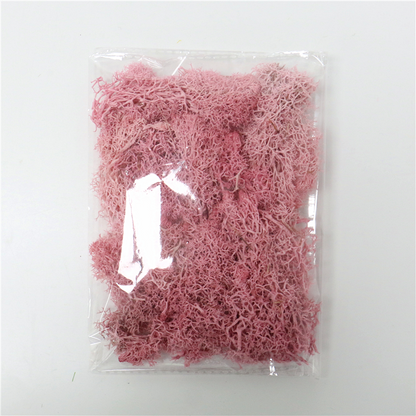 Sandsberg | Künstliches Moos für Landschaftsgestaltung – Moos und Blumen für Dekoration und Floristik