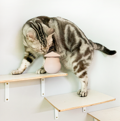 Sandsberg | Automatisches Laser-Infrarot-Katzenanreizspielzeug