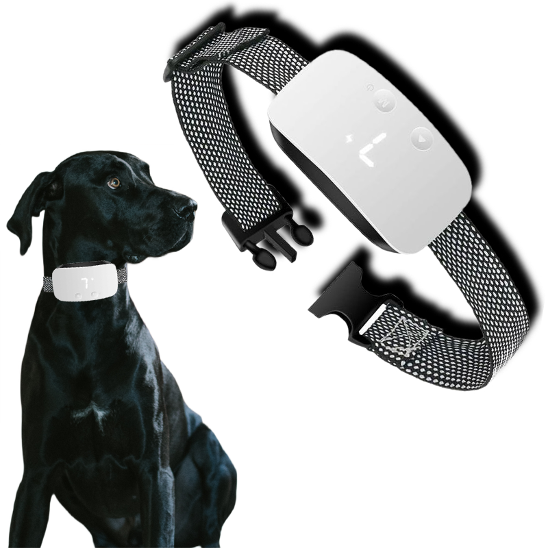 Sandsberg | Pro – Hochwertiges Effektives Anti-Bell-Halsband Für Hunde