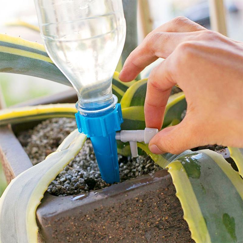 Selbstbewässerung für PET-Flasche